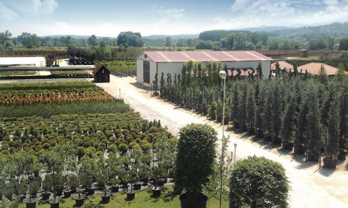Serbesler Botanik, No 1 Comfortable Villa 사카리아 외부 사진